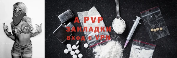 хмурый Арсеньев