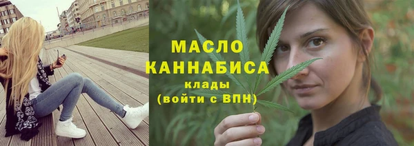 хмурый Арсеньев