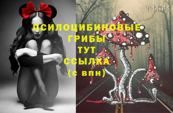 хмурый Арсеньев