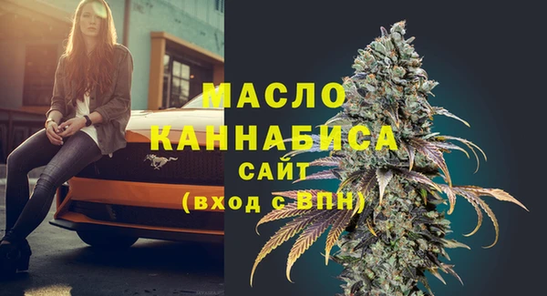 хмурый Арсеньев