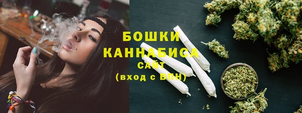 шишки Армянск